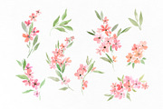 Watercolor Pink Floral Sprigs, a Decorative Illustration by GraphicsDish (Thumbnail 2 of 3)