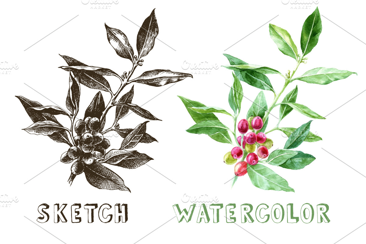All you need is coffee, a Food Illustration by handsketched (Photo 3 of 8)