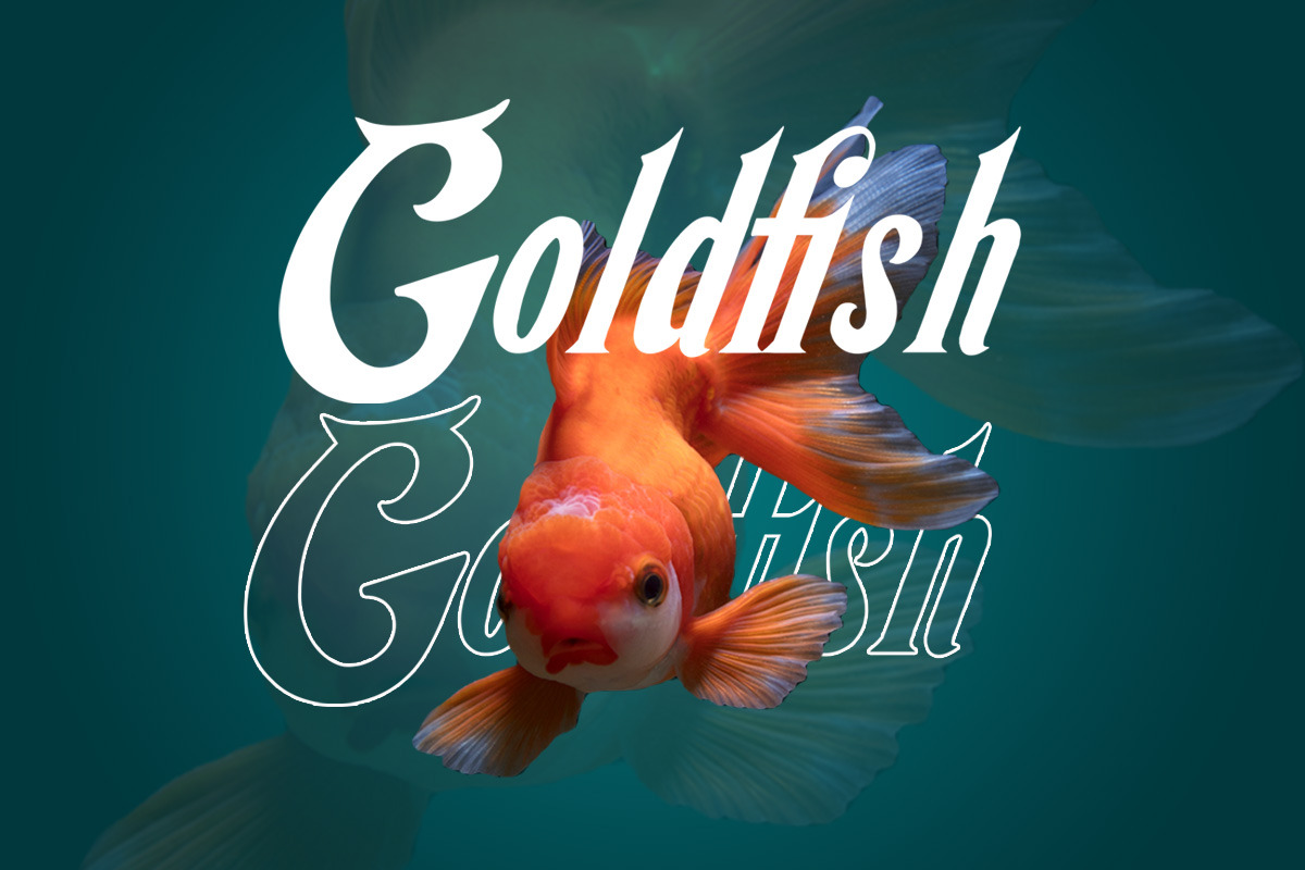 Kekfish - Modern Handdrawn Display, a Symbol Font by Saxofont (Photo 2 of 9)