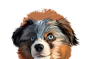 Puppies Dog Breeds Vol. 1; 1 to 30, an Animal Illustration by Dneprstock (Thumbnail 2 of 8)