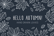 Hand drawn leaves of different trees, a Decorative Illustration by Tkoko vectors & patterns (Thumbnail 1 of 14)