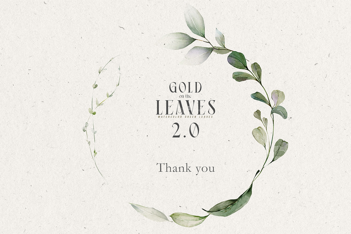 Watercolor Green Leaves Collection, a Decorative Illustration by Damian Roh (Photo 19 of 19)