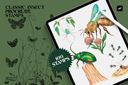 Classic Insect Procreate Stamps, a Shape Add-On by Spasibenko Art (Thumbnail 3 of 4)