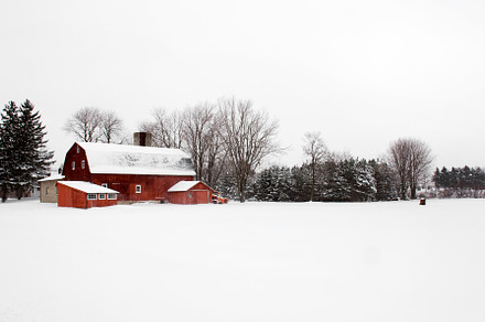 Red Barn On A Winter Day