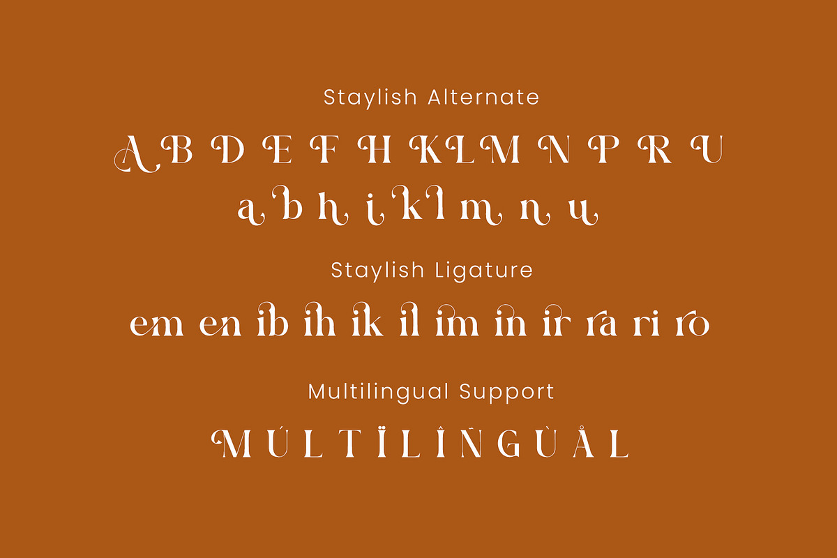 Hiroka Serif Font, a Serif Font by Idea Studio (Photo 7 of 10)