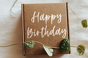 Soulshine, a Script Font by Paul Hewitt (Thumbnail 3 of 7)