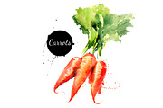 20 Watercolor Vegetables Vector, a Food Illustration by Elena Pimonova (Thumbnail 3 of 5)