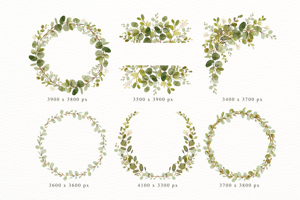 Rustic Eucalyptus Foliage, a Decorative Illustration by AnnelyBlooms (Photo 3 of 5)