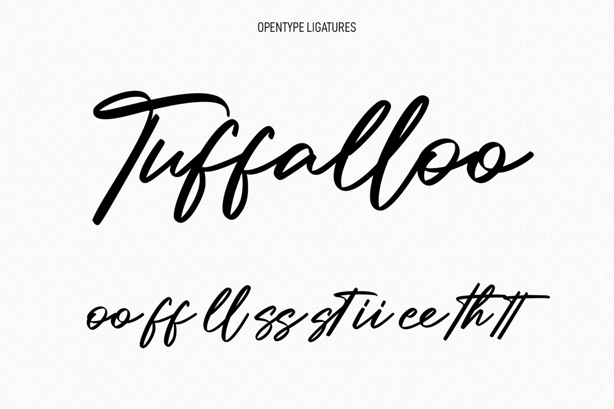 Millie Bobby Signature Script Font, a Script Font by MACK 75 (Photo 2 of 10)