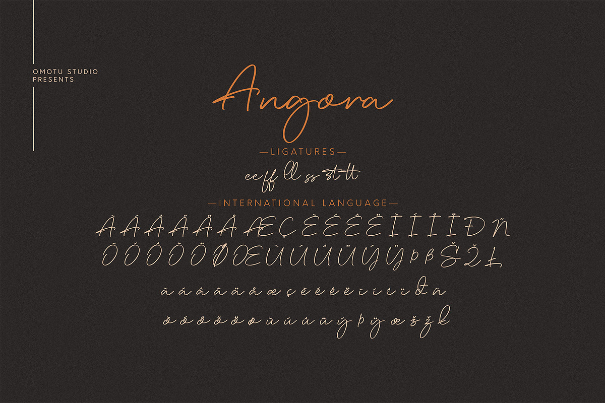 Angora, a Script Font by Omotu Studio (Photo 11 of 12)