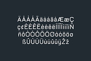 Halogeton Modern Sans Serif Family, a Sans Serif Font by UICreative (Thumbnail 2 of 13)