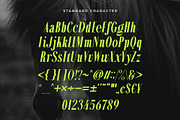 Alterosa - Italic serif font, a Serif Font by Almeera Std (Thumbnail 3 of 6)