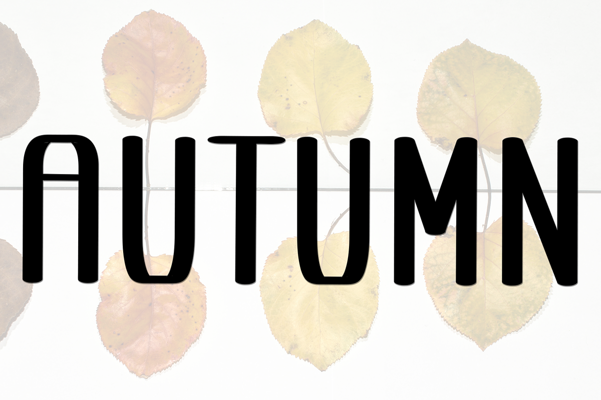 Varsity Modern, a Script Font by FreshTypeINK (Photo 7 of 8)