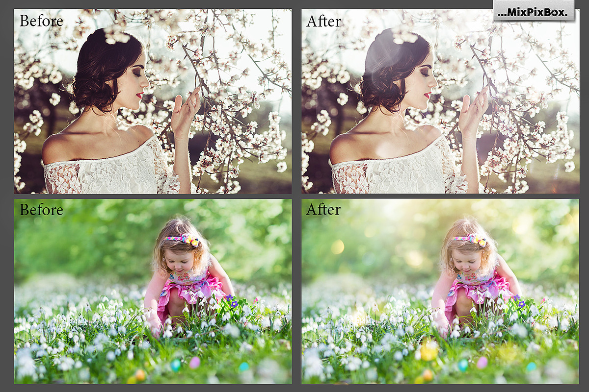 Spring Sunbeams Photo Overlays preview 7
