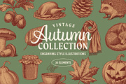 Vintage Autumn Illustrations, a Seasonal Illustration by Graphic Goods (Thumbnail 1 of 8)