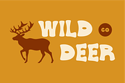SEYDAN - Retro Display Font, a Font by Rightwheels (Thumbnail 9 of 10)