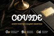 Covide | Elegant Serif & Luxury Disp, a Serif Font by Astuti Studio (Thumbnail 4 of 25)