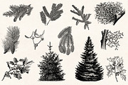 Winter Holidays - Vintage Engravings, a Decorative Illustration by Graphic Goods (Thumbnail 7 of 10)