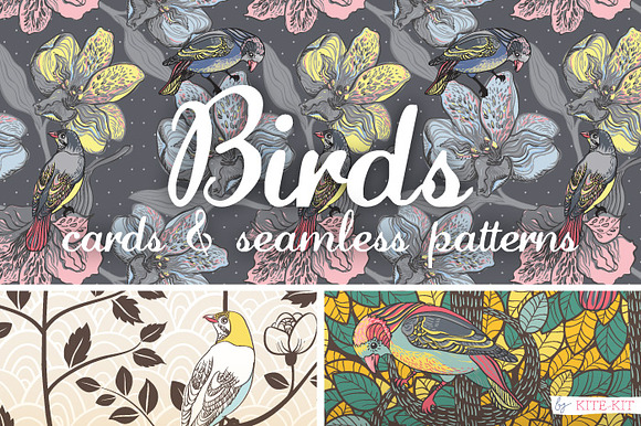 Beautiful birds preview 6