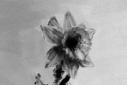 Procreate Inkwell Duo, a Brush Add-On by Brush Moment (Thumbnail 4 of 12)