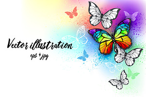 Rainbow Butterfly Design