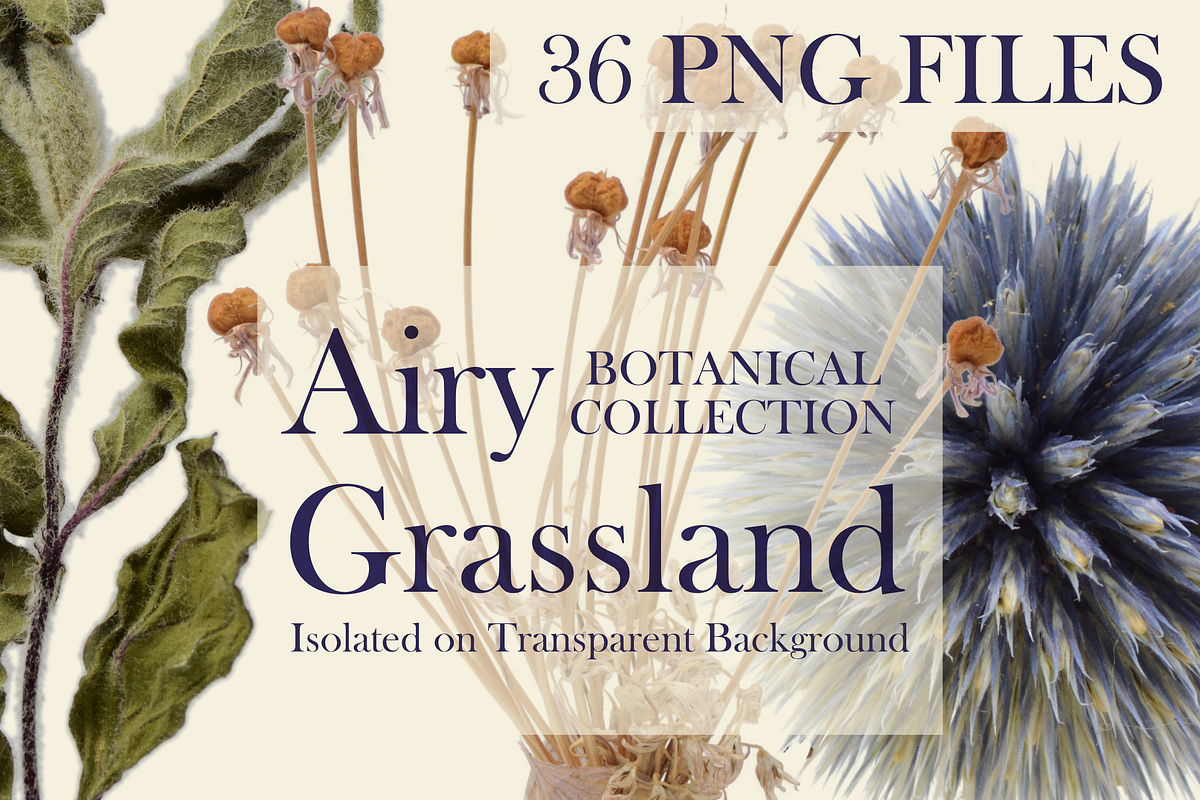 Botanical PNG Elements – 36 Meadow P, an Object Graphic by Aga Silva (Photo 17 of 28)