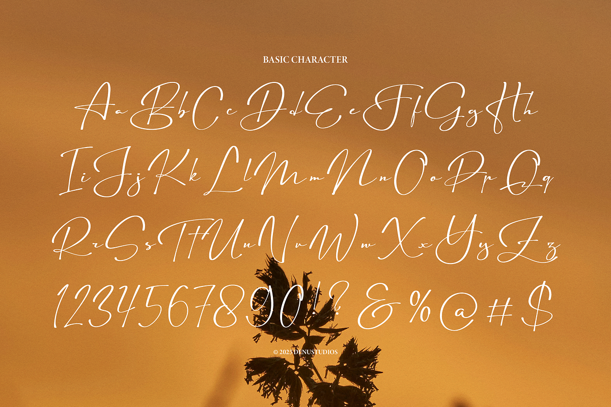 Astelafisa | Classic Signature Font, a Script Font by Denustudios (Photo 11 of 12)