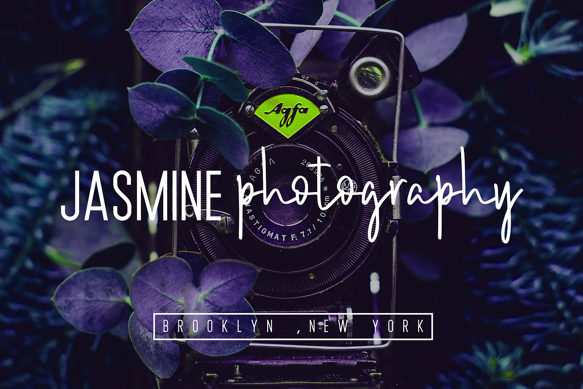 Brush Wayne Signature and Sans preview 4
