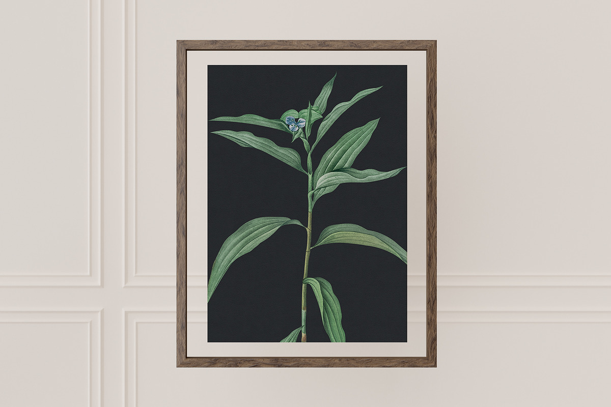VINTAGE FLOWERS Vol.2 Watercolor Png, an Object Graphic by Oksana Trygub (Photo 8 of 9)
