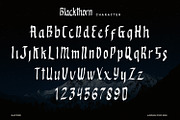 Blackthorn - Display Font, a Script Font by Alpaprana (Thumbnail 7 of 9)