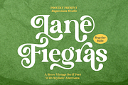Lane Fiegras - Retro Serif Font, a Serif Font by RagamKata (Thumbnail 1 of 12)