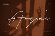 Argine Signature Font, a Handwritten Font by RantautypeStudio (Thumbnail 1 of 15)