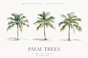 Palm Trees, a Decorative Illustration by PeDe Designs