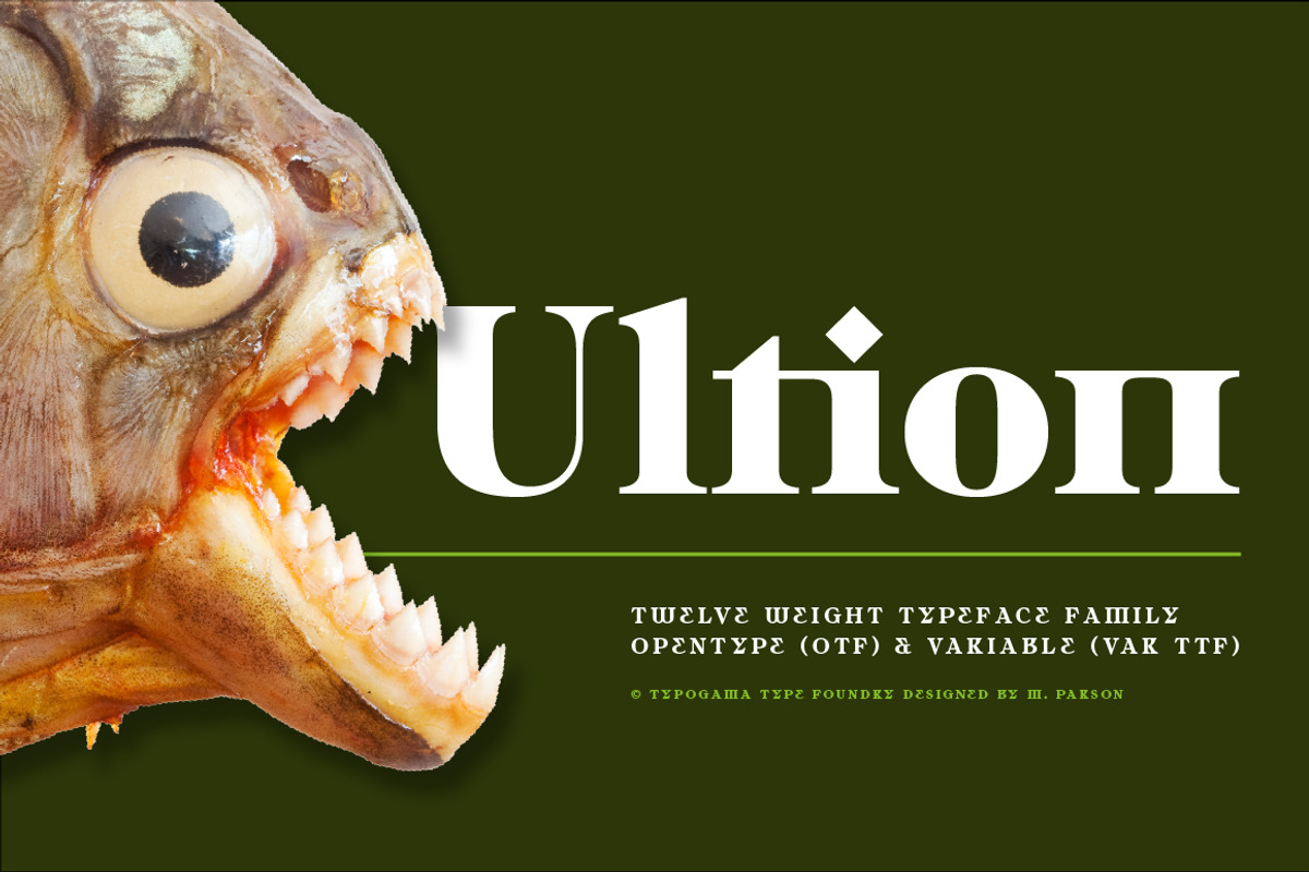 Ultion, a Serif Font by Typogama (Photo 1 of 16)