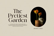 Galgin Elegant Serif Font, a Serif Font by Perfectype (Thumbnail 3 of 8)