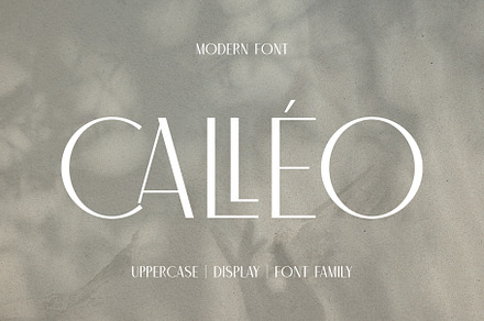 Calleo