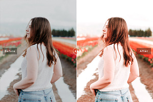 Abutilon Pro Lightroom Presets