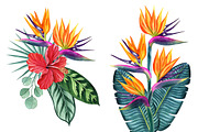Tropical plants set, an Illustration by Watercolor life (Thumbnail 10 of 13)