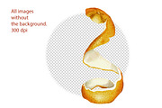 Oranges flowers and fruits clip art, a Food Illustration by Alena Sid (Thumbnail 4 of 14)