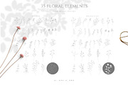DRIED BOTANICALS COLLECTION, a Decorative Illustration by Luna Dreams (Thumbnail 9 of 13)