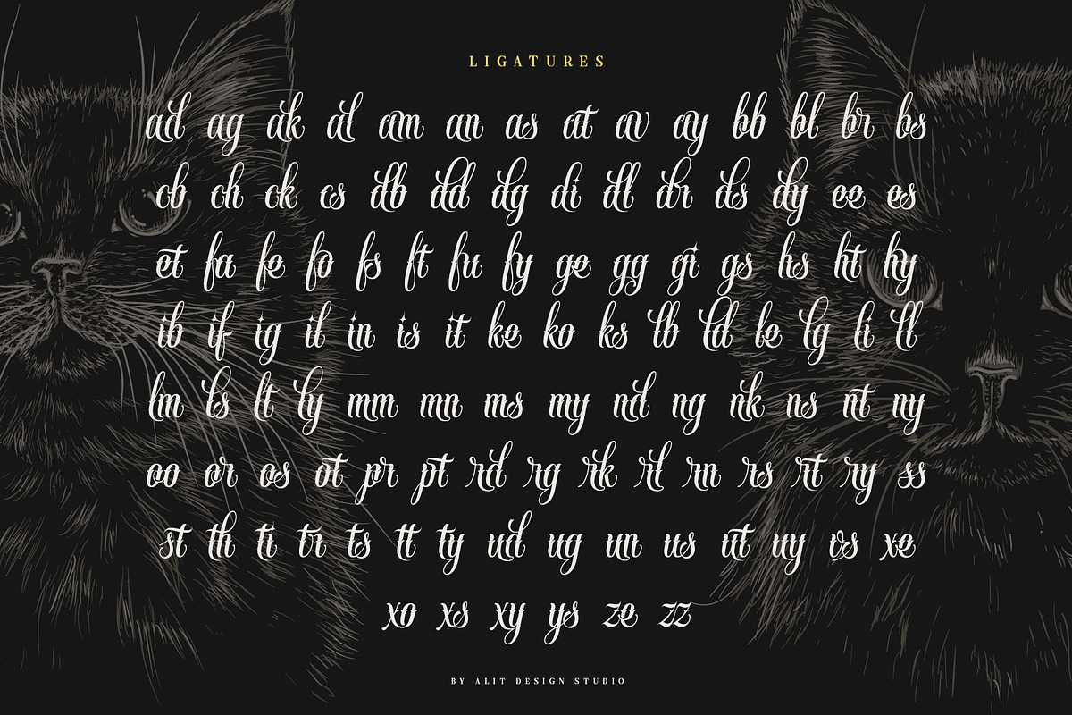 Handrid Familia Typeface, a Script Font by alit design (Photo 18 of 20)
