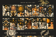 Tarot cards. celestial vintage, a Decorative Illustration by Chikovnaya (Thumbnail 7 of 8)