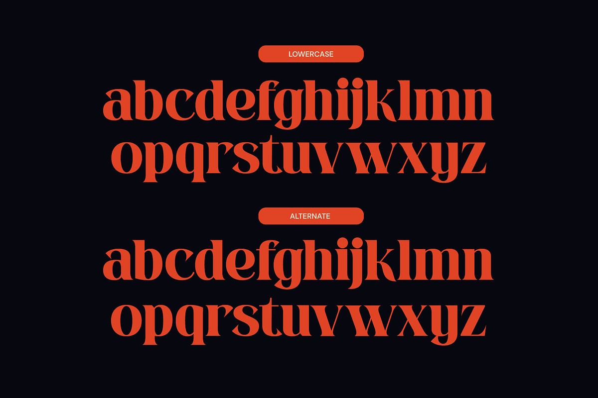 Rodova - Modern Serif Display Font, a Serif Font by MooneseyeType (Photo 5 of 10)