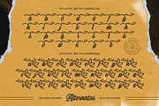 Botanica Whimsy Typeface, a Script Font by alit design (Thumbnail 12 of 20)
