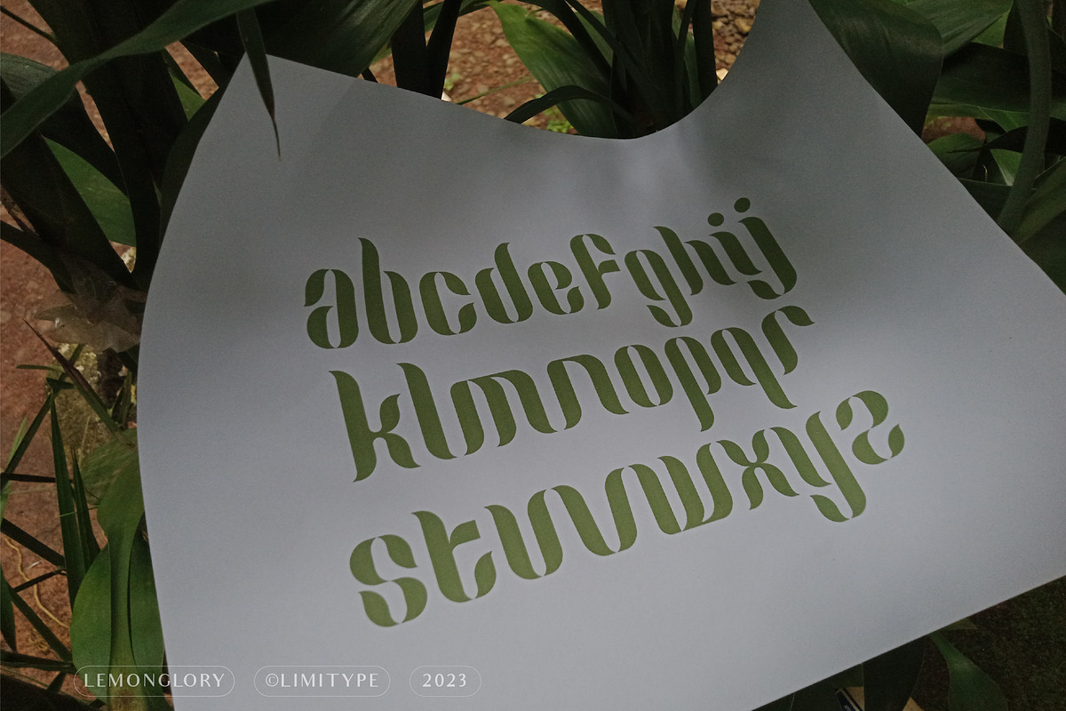 Lemon Glory - Flowers Font, a Script Font by limitype (Photo 15 of 20)