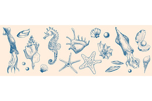 Seashells and marine inhabitants, an Illustration by art PVP - market