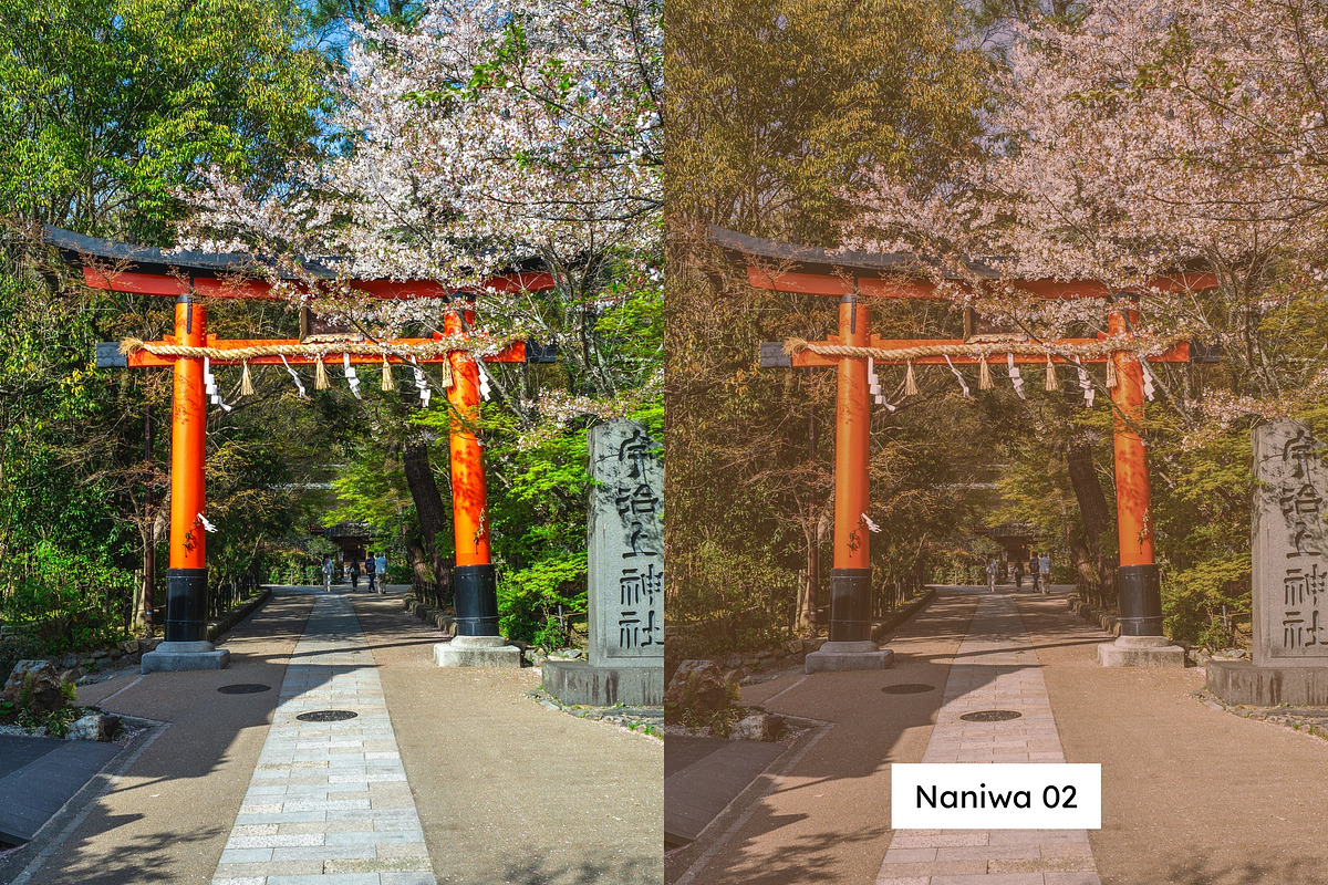 20 Aged Film Lightroom Presets & LUT, a Preset Add-On by SparkleStock (Photo 8 of 13)