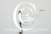 Gafsure | Modern Serif, a Serif Font by Jolicia Type (Thumbnail 9 of 15)
