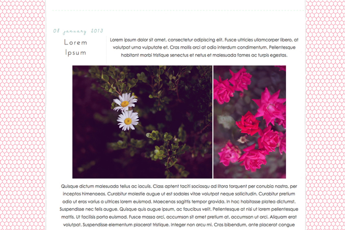 Honeycomb PSDs preview 3