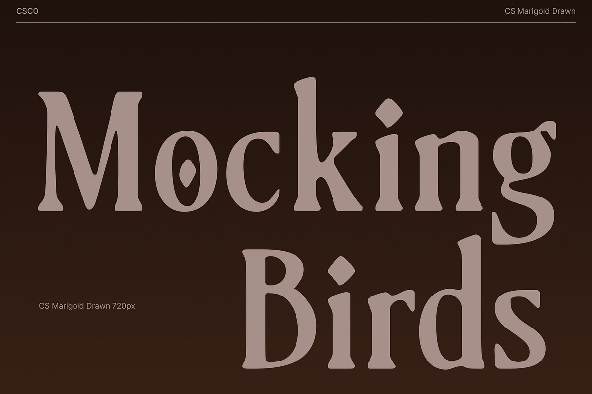 CS Marigold Drawn, a Serif Font by Craft Supply Co. (Photo 2 of 8)